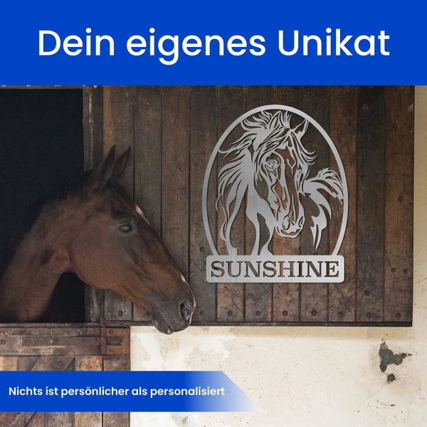 Wildes Pferd - Pferde Schild